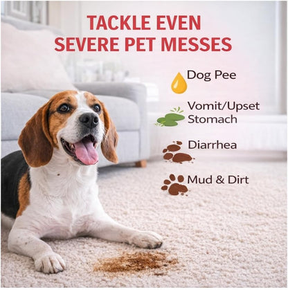 Pet Stain and Odor Remover, 35 oz