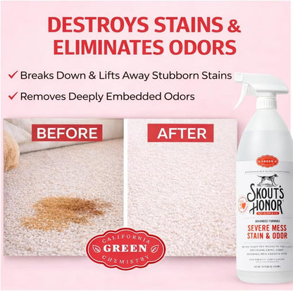 Pet Stain and Odor Remover, 35 oz