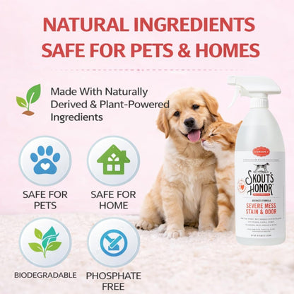 Pet Stain and Odor Remover, 35 oz