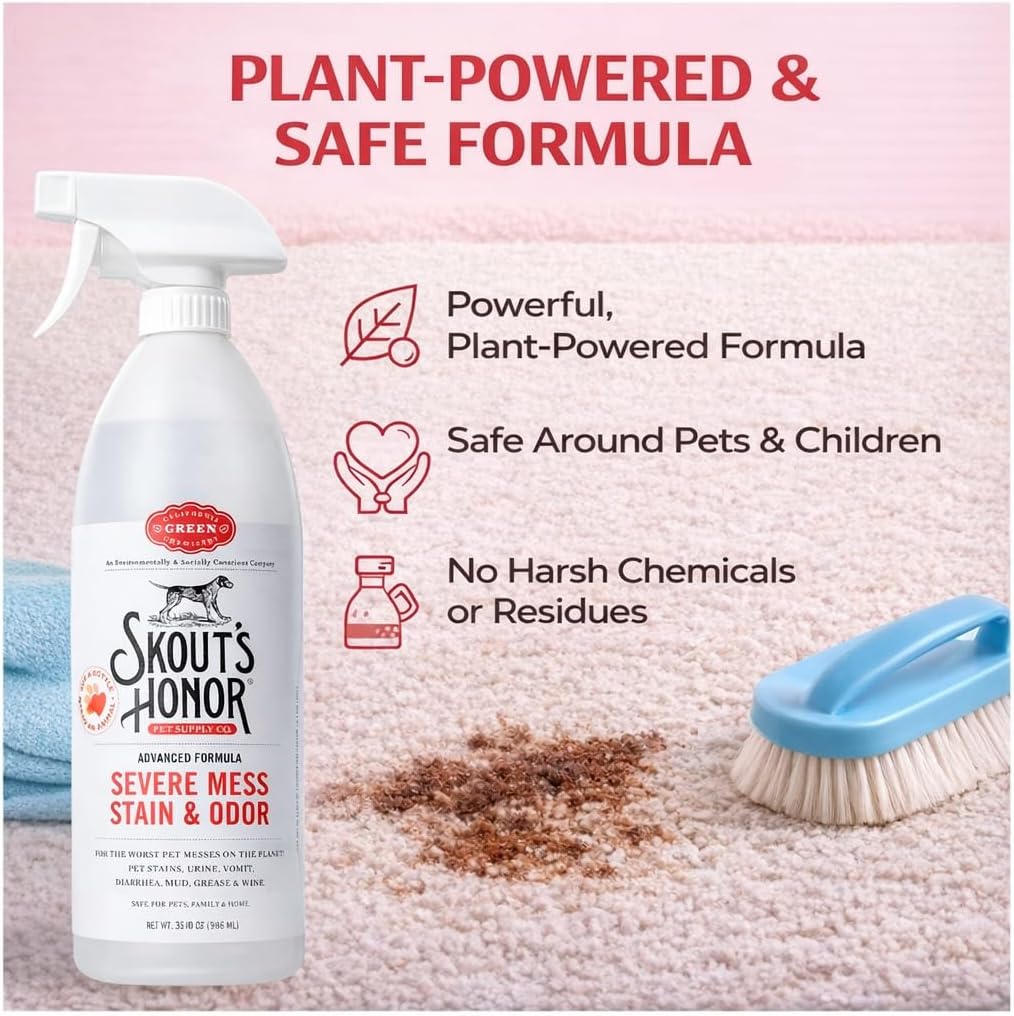 Pet Stain and Odor Remover, 35 oz