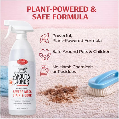 Pet Stain and Odor Remover, 35 oz