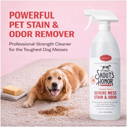 Pet Stain and Odor Remover, 35 oz