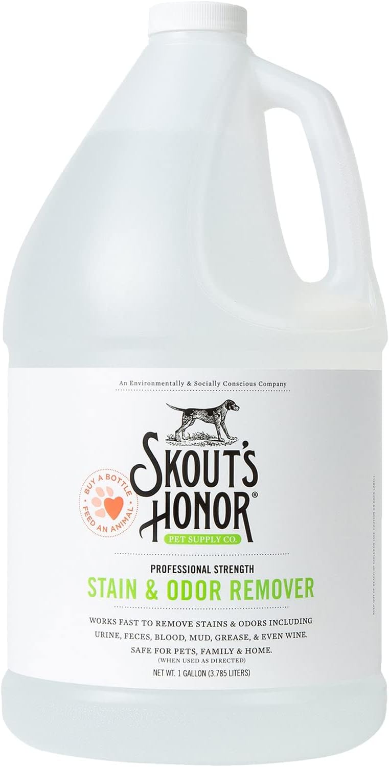 Pet Stain and Odor Remover, 35 oz