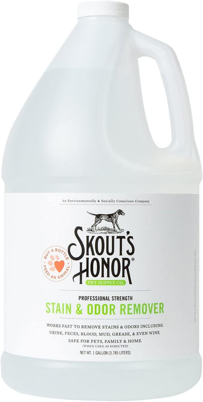 Pet Stain and Odor Remover, 35 oz