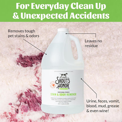 Pet Stain and Odor Remover, 35 oz