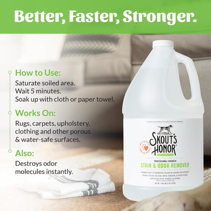 Pet Stain and Odor Remover, 35 oz