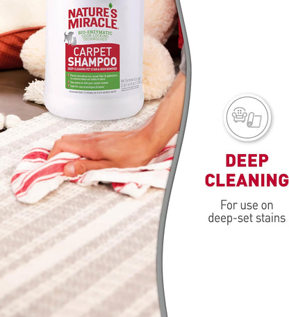 Carpet Shampoo Pet Stain & Odor Remover, 64 oz