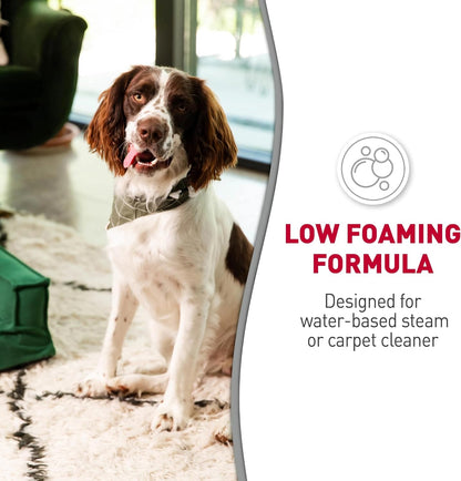 Carpet Shampoo Pet Stain & Odor Remover, 64 oz