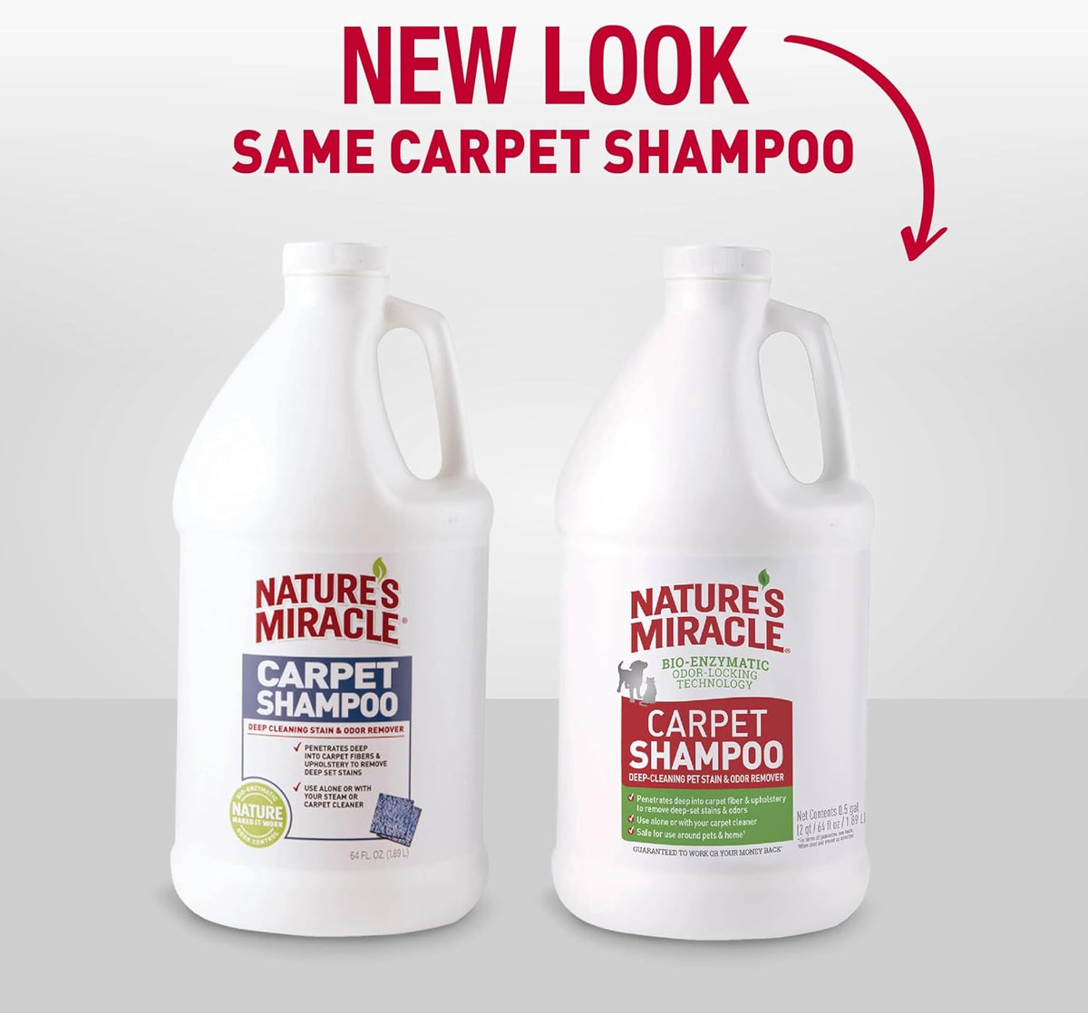 Carpet Shampoo Pet Stain & Odor Remover, 64 oz