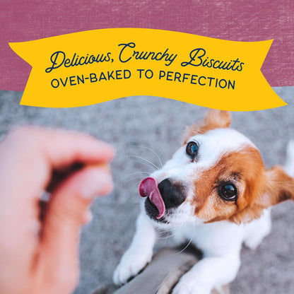 Rewards, Bite-Size Crunchy Biscuits, Venison, 8 oz