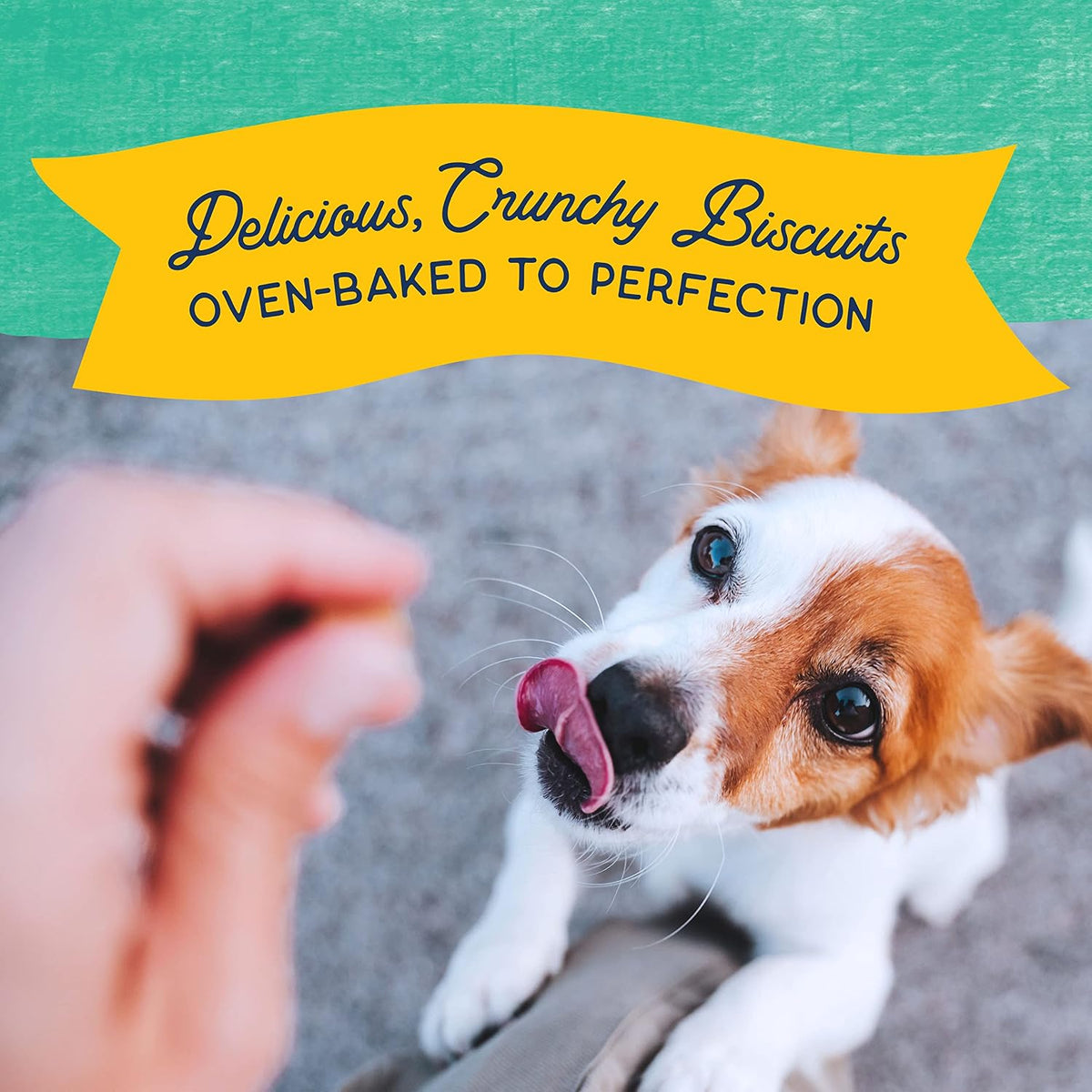 Rewards, Bite-Size Crunchy Biscuits, Venison, 8 oz