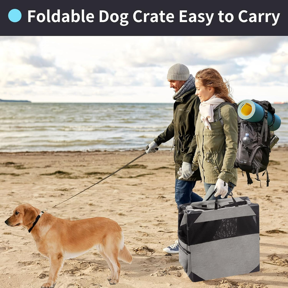 30 Inch Portable Soft Foldable Dog Crate, 30" L x 21" W x 21" H