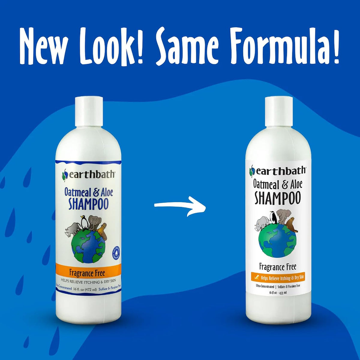 Oatmeal & Aloe Dog Shampoo, 16 fl oz