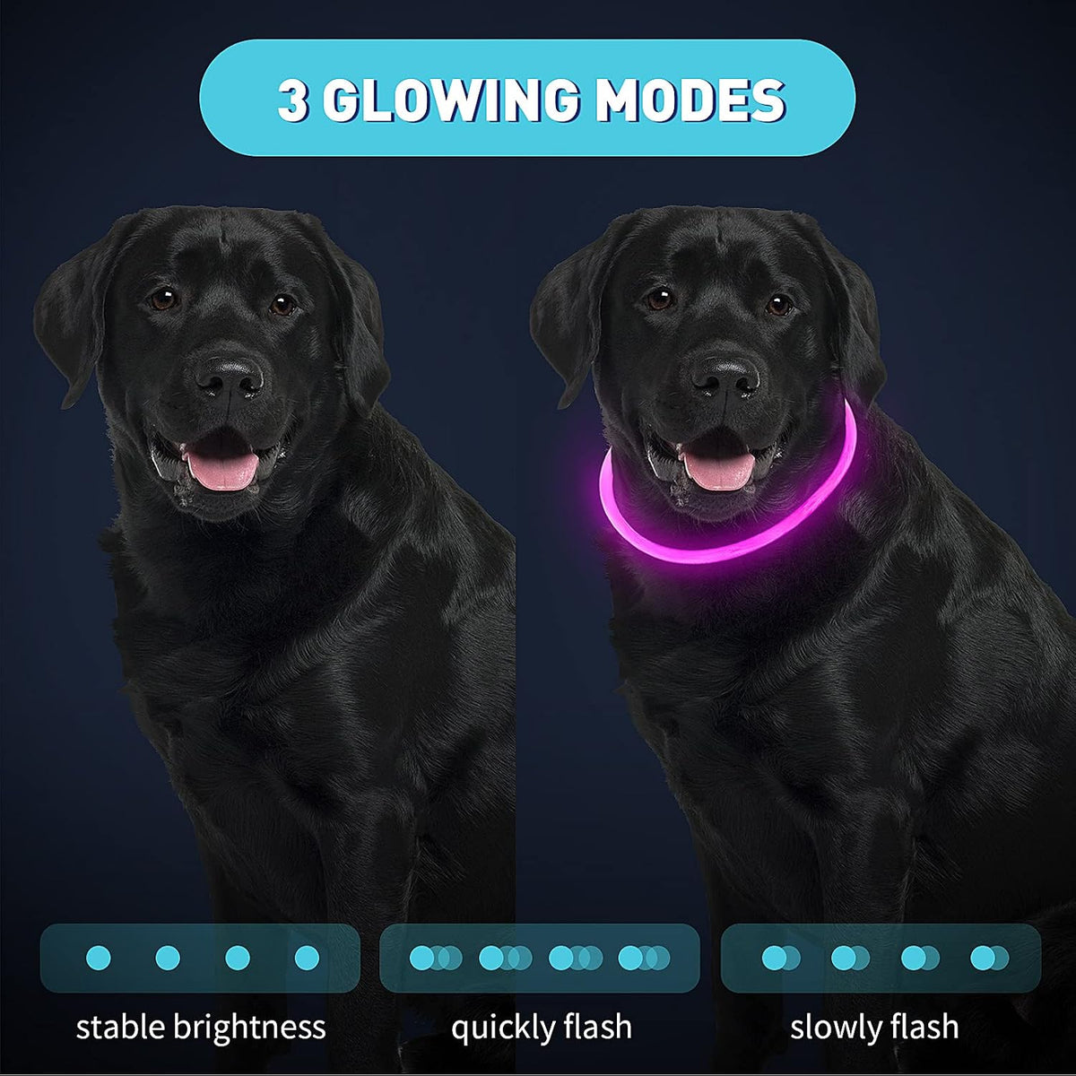 4 Pcs LED Dog Collars, USB Rechargeable, Classic Style, 4 Colors