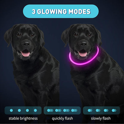 4 Pcs LED Dog Collars, USB Rechargeable, Classic Style, 4 Colors