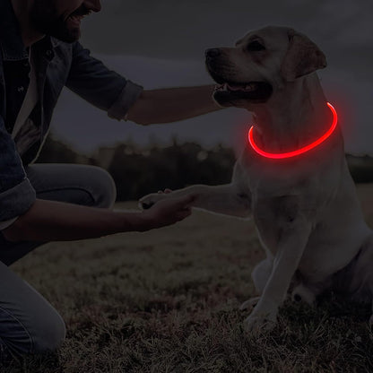 4 Pcs LED Dog Collars, USB Rechargeable, Classic Style, 4 Colors