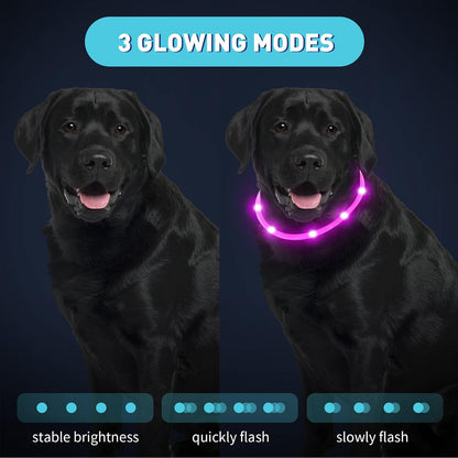 4 Pcs LED Dog Collars, USB Rechargeable, Classic Style, 4 Colors