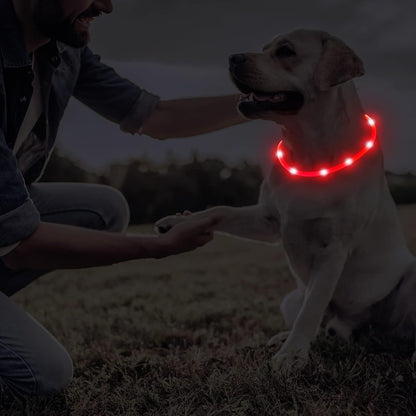 4 Pcs LED Dog Collars, USB Rechargeable, Classic Style, 4 Colors