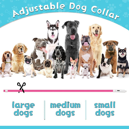 4 Pcs LED Dog Collars, USB Rechargeable, Classic Style, 4 Colors