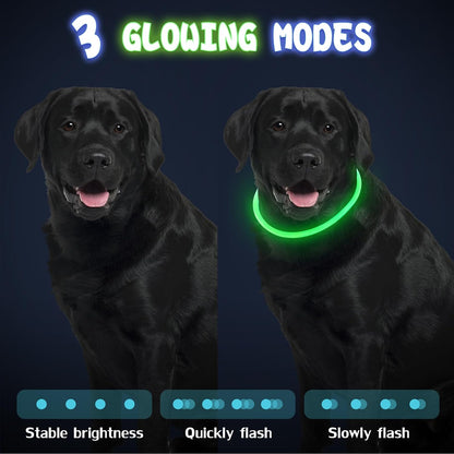 4 Pcs LED Dog Collars, USB Rechargeable, Classic Style, 4 Colors