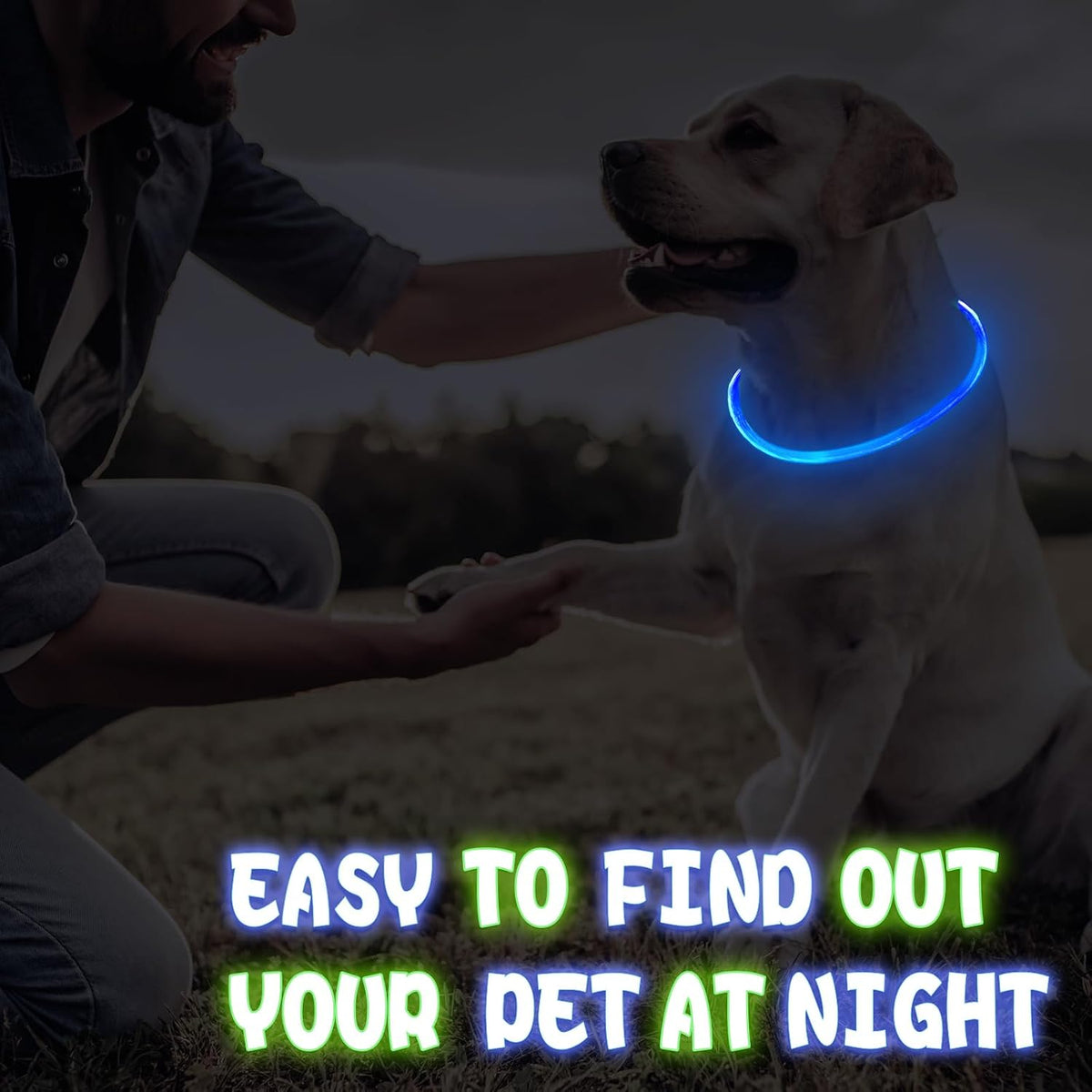 4 Pcs LED Dog Collars, USB Rechargeable, Classic Style, 4 Colors