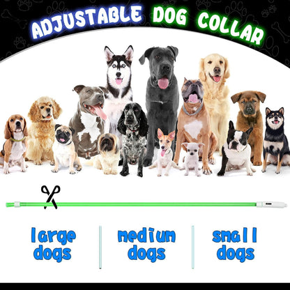 4 Pcs LED Dog Collars, USB Rechargeable, Classic Style, 4 Colors