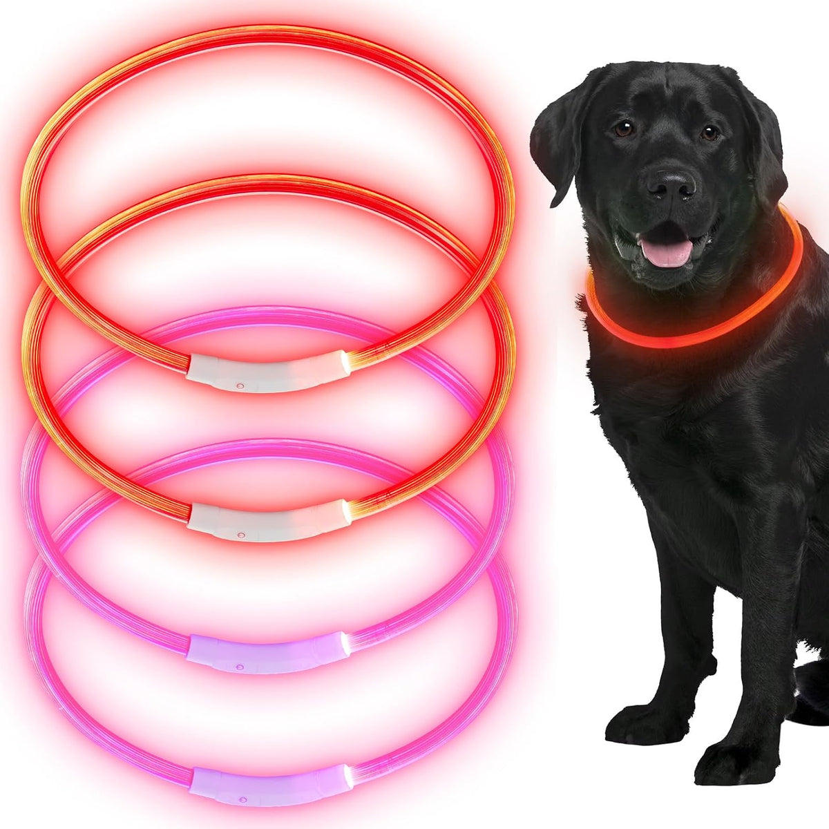 4 Pcs LED Dog Collars, USB Rechargeable, Classic Style, 4 Colors