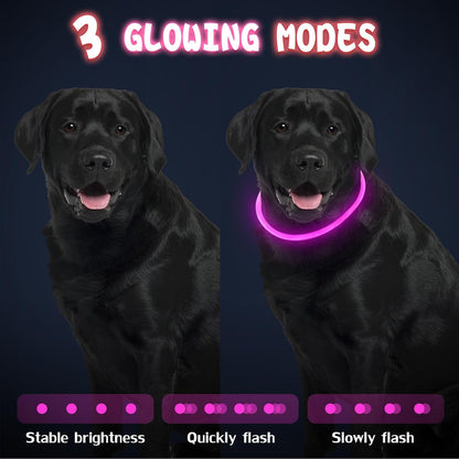 4 Pcs LED Dog Collars, USB Rechargeable, Classic Style, 4 Colors
