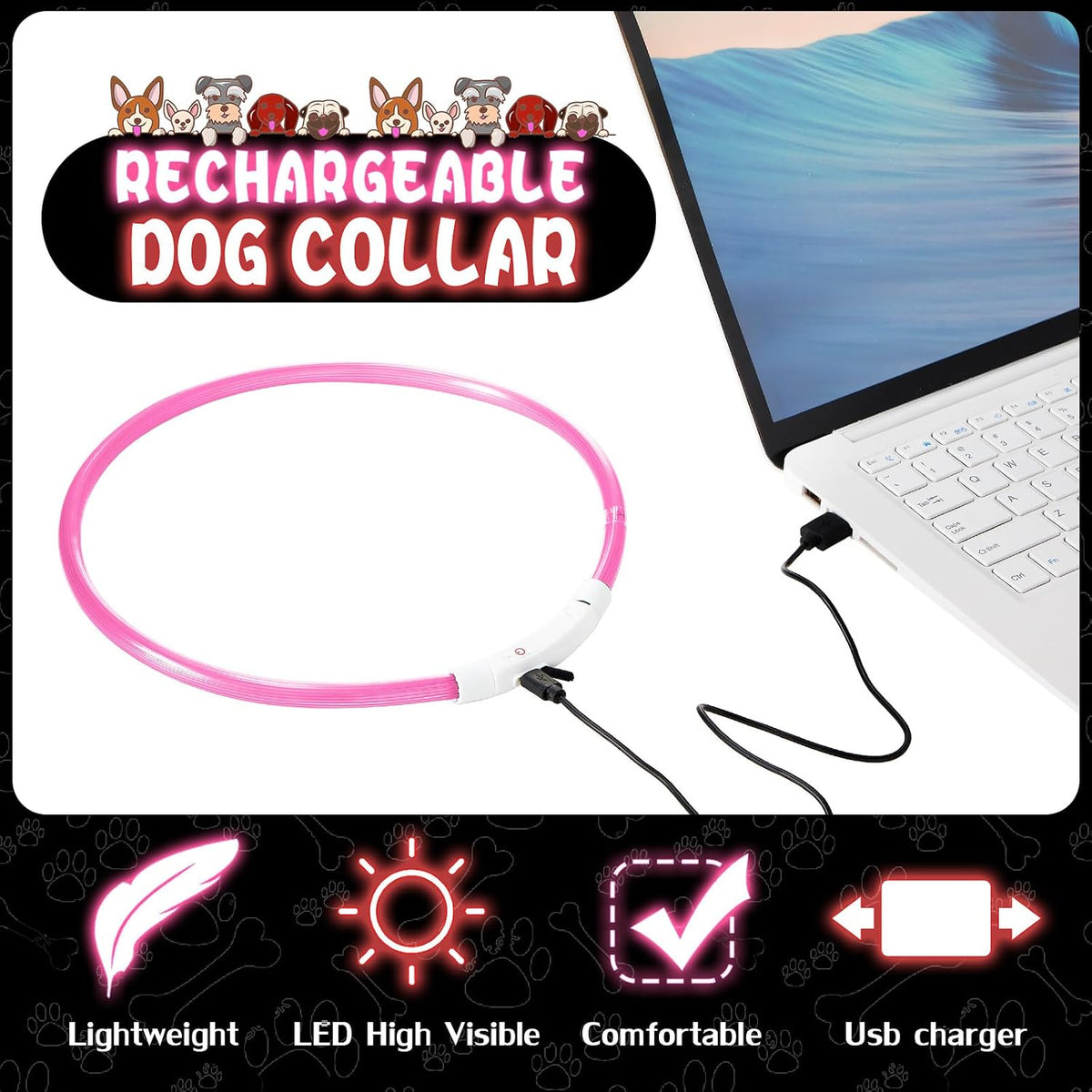 4 Pcs LED Dog Collars, USB Rechargeable, Classic Style, 4 Colors