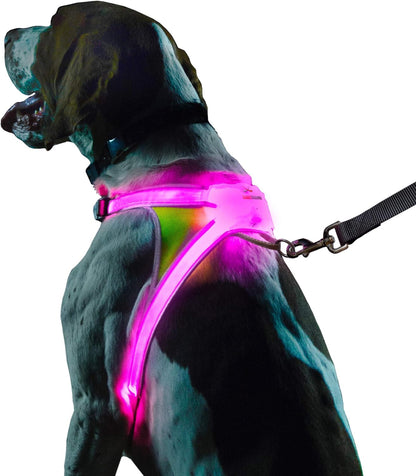 LightHound Light Up Reflective Dog Harness, Large