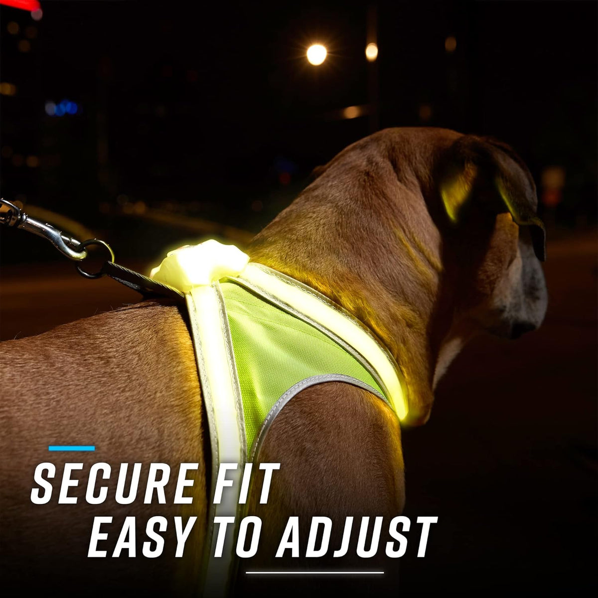 LightHound Light Up Reflective Dog Harness, Large
