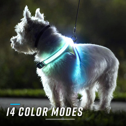 LightHound Light Up Reflective Dog Harness, Large