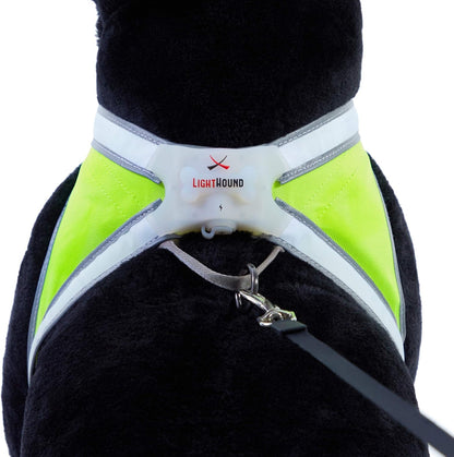 LightHound Light Up Reflective Dog Harness, Large