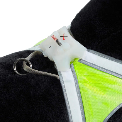 LightHound Light Up Reflective Dog Harness, Large