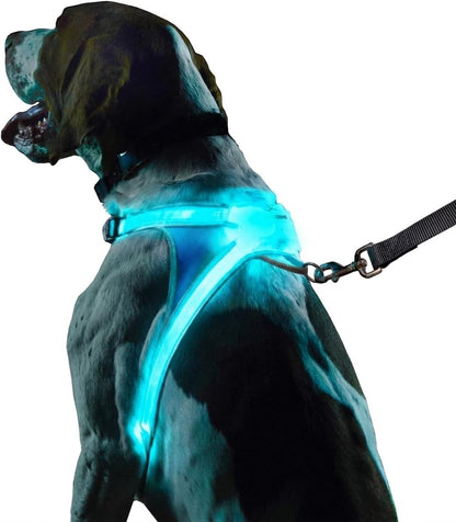 LightHound Light Up Reflective Dog Harness, Large