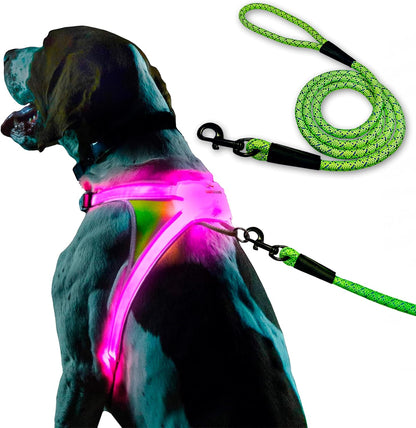 LightHound Light Up Reflective Dog Harness, Large