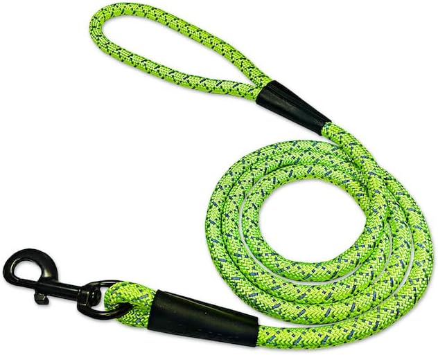 LightHound Light Up Reflective Dog Harness, Large