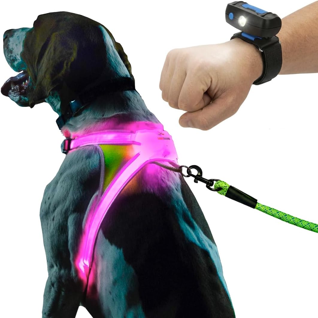 LightHound Light Up Reflective Dog Harness, Large