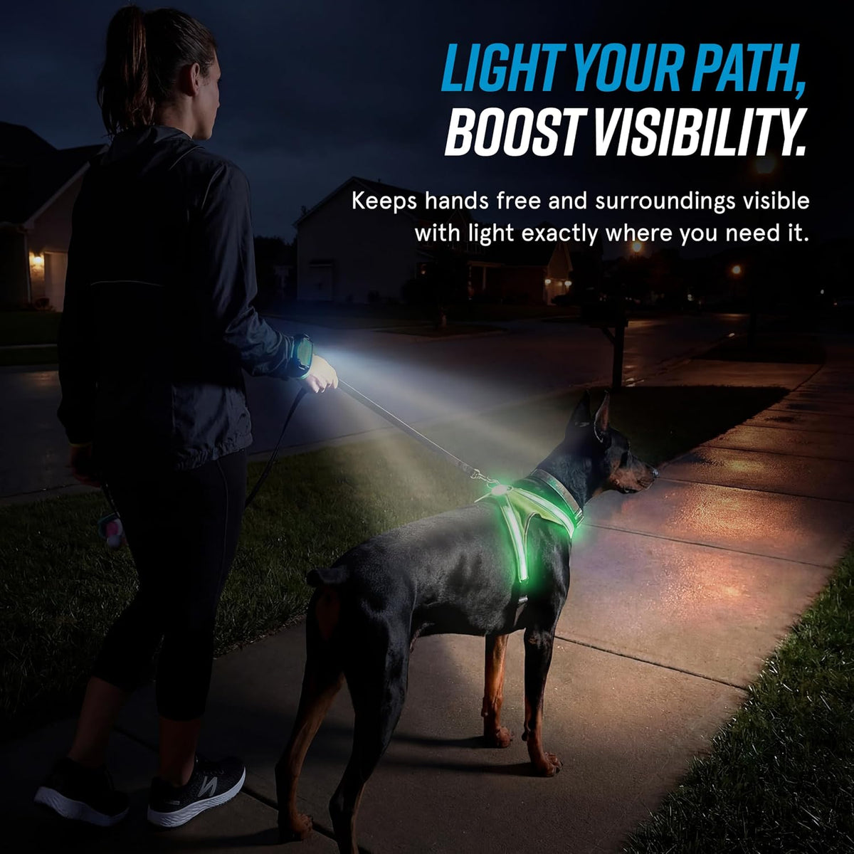 LightHound Light Up Reflective Dog Harness, Large