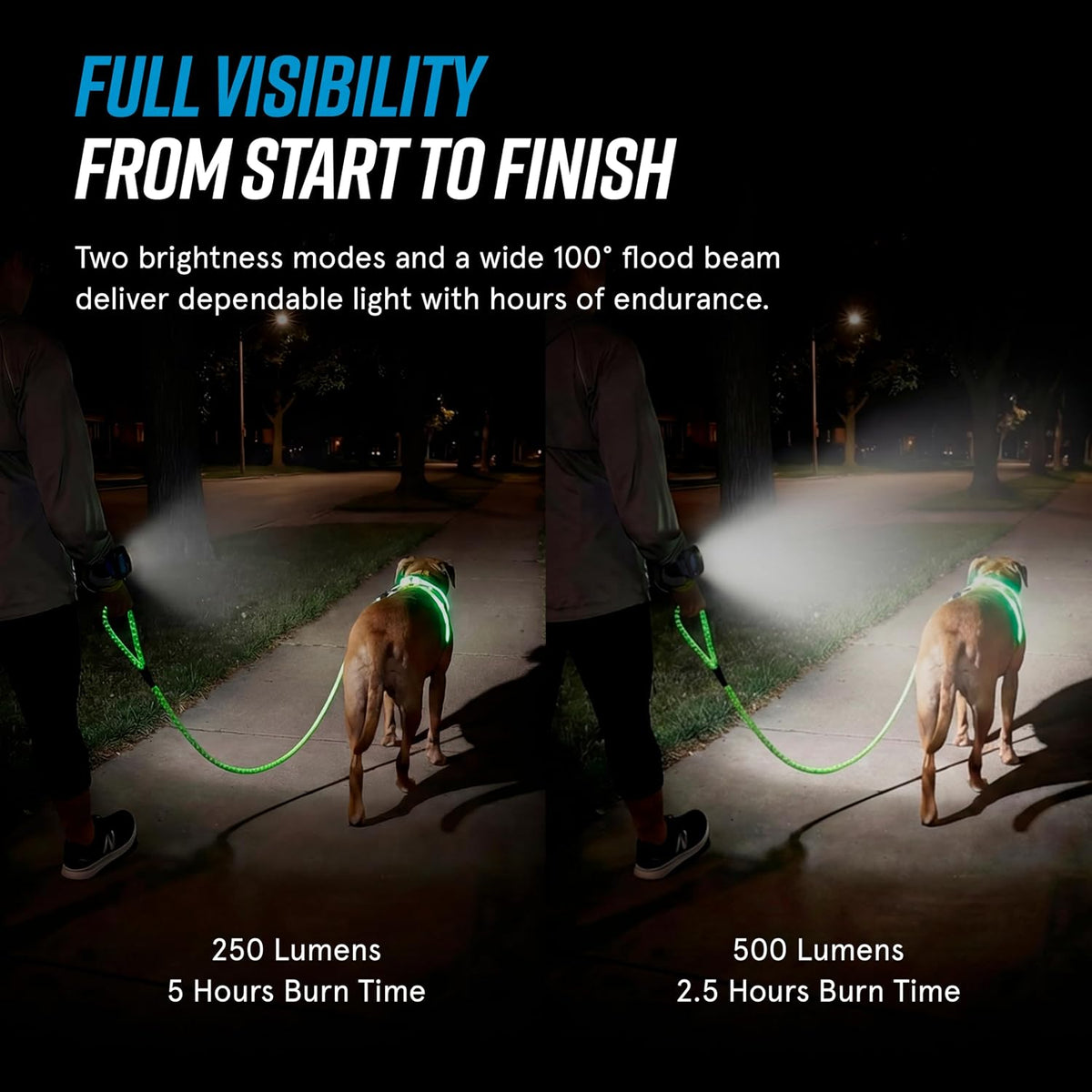 LightHound Light Up Reflective Dog Harness, Large