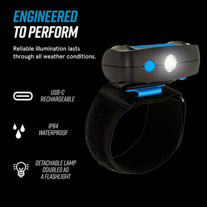 LightHound Light Up Reflective Dog Harness, Large