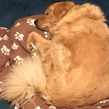 Dog Blankets, Fleece Pet Blankets, 24x28 Inches