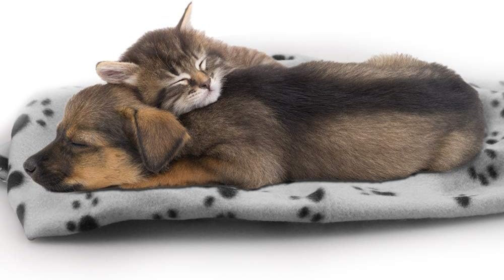 Dog Blankets, Fleece Pet Blankets, 24x28 Inches