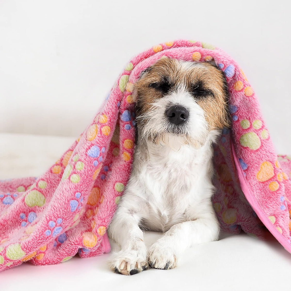 Dog Blankets, Fleece Pet Blankets, 24x28 Inches