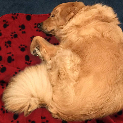 Dog Blankets, Fleece Pet Blankets, 24x28 Inches