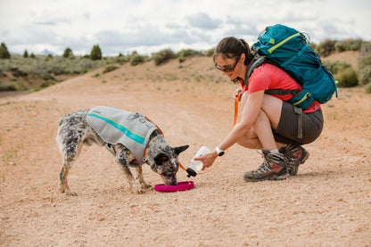 Ruffwear, Camp Flyer Dog Toy, Flying Disc, Red Sumac