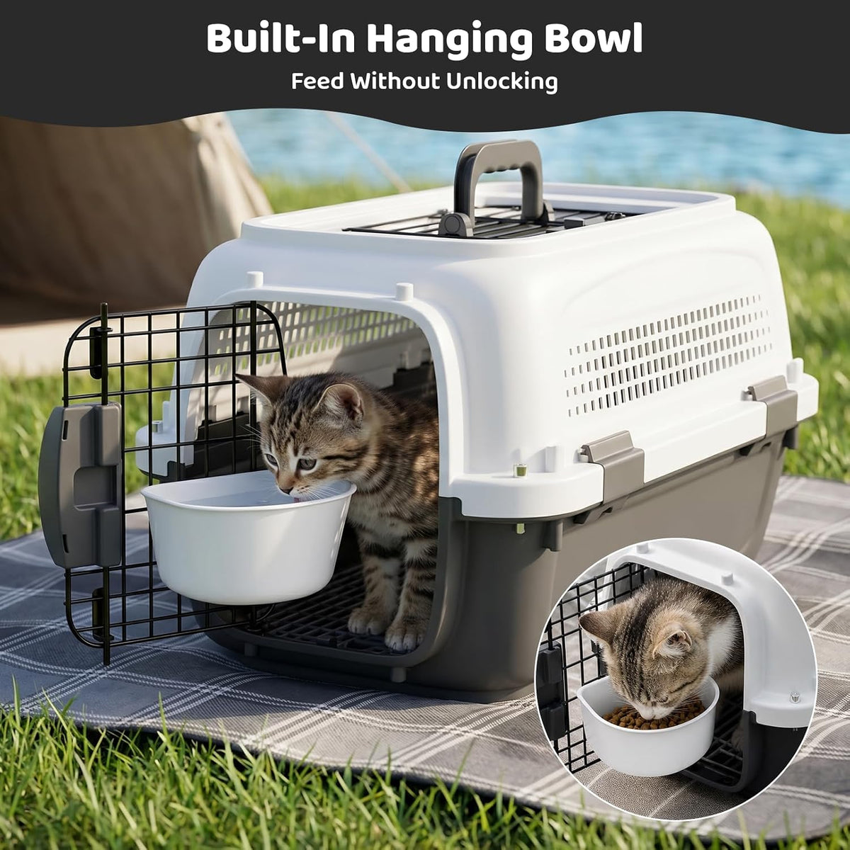 Athena Collection 18" Hard-Sided Travel Pet Carrier for Small Dogs and Cats