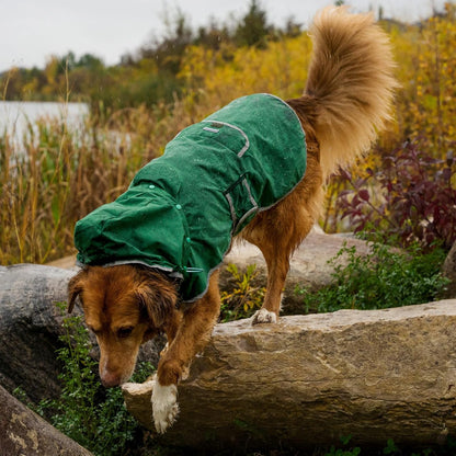 Dog Jacket Waterproof Raincoat with Breathable Interior, Removable Hood, Torso Strap, Secure Closures, Back Pocket and Two Hanging Loops, Foldable into Back Pocket
