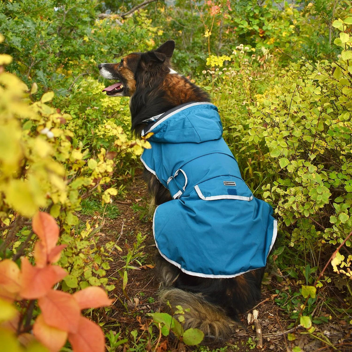 Dog Jacket Waterproof Raincoat with Breathable Interior, Removable Hood, Torso Strap, Secure Closures, Back Pocket and Two Hanging Loops, Foldable into Back Pocket