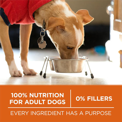 Plus Healthy Weight Dry Dog Food, Real Turkey, 31.1 lb Bag
